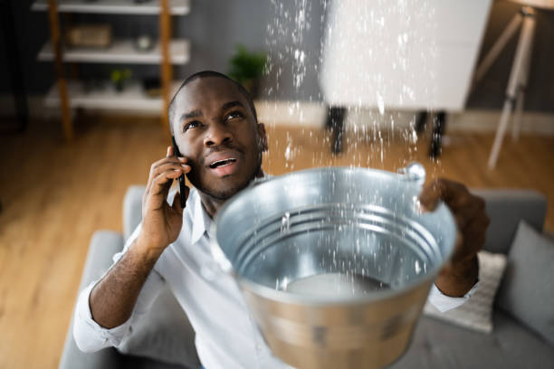 Best Ceiling water damage repair  in Hagerman, ID
