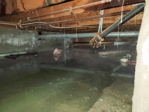 Best Water damage cleanup near me  in Hagerman, ID