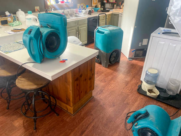 Best Water damage restoration process  in Hagerman, ID