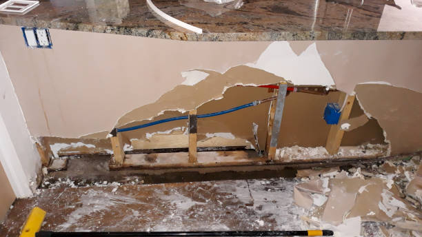 Best Carpet water damage restoration  in Hagerman, ID
