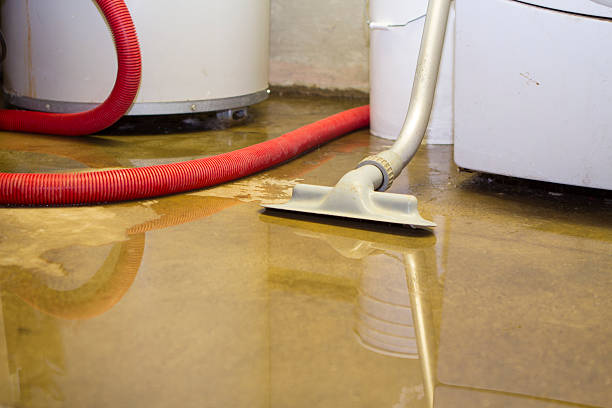 Best Mold removal after water damage  in Hagerman, ID
