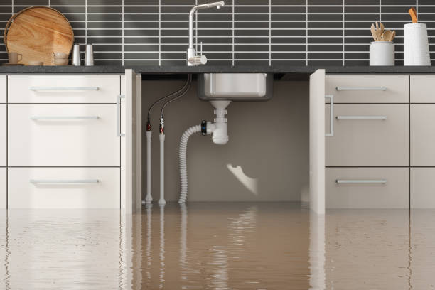 Best Commercial water damage restoration  in Hagerman, ID